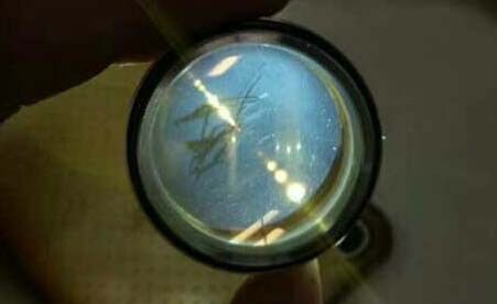 圖十:被污染了的鏡片 圖十:被污染了的鏡片